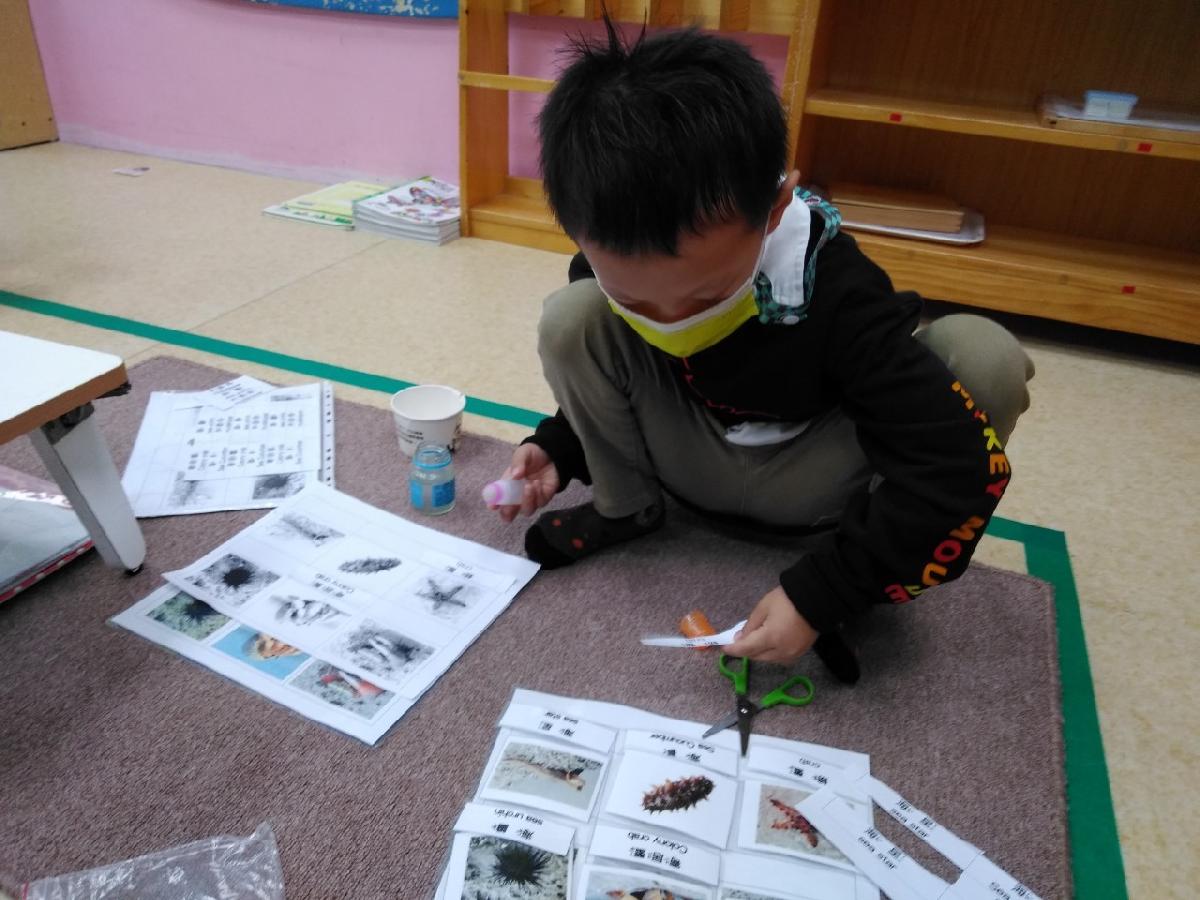 110.10月 蒙氏C組工作花絮 110.10月 蒙氏C組工作花絮