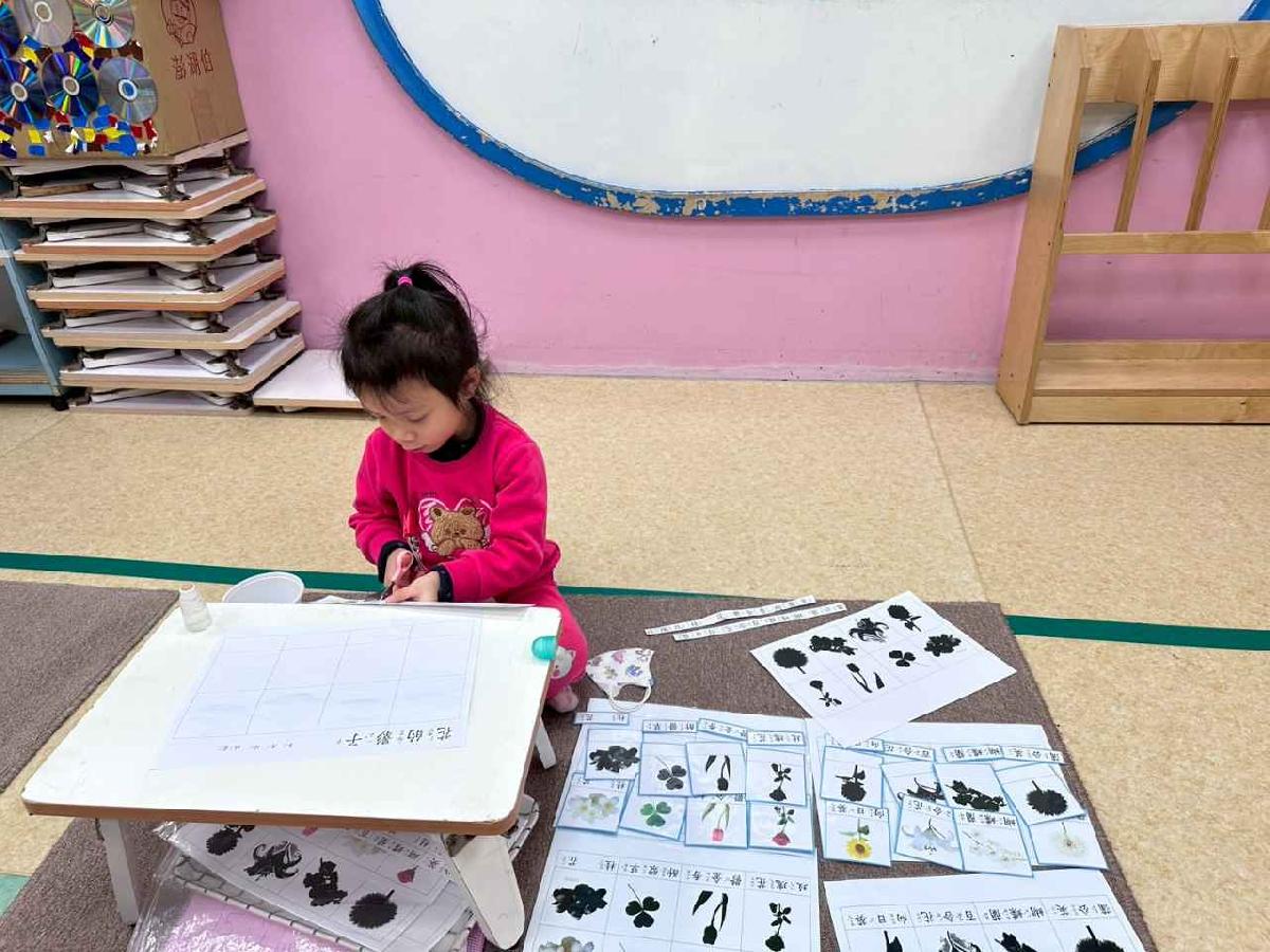 line_album_c組_260122_12